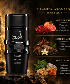 Piramida olfactivă Lattafa Asad Elixir 100 ml, cu notele de vârf, inimă și bază ilustrate