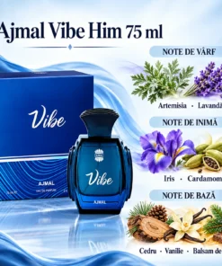 Ajmal Vibe Him 75 ml, piramida olfactivă