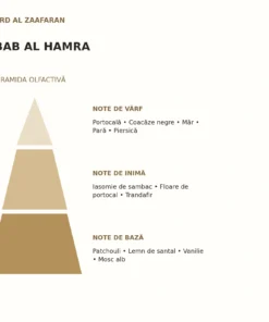 Piramida olfactivă Bab Al Hamra Ard Al Zaafaran: note de vârf, inimă și bază
