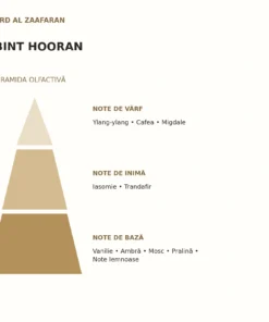 Piramida olfactivă Bint Hooran Ard Al Zaafaran: note de vârf, inimă și bază