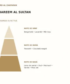 Piramida olfactivă Hareem Al Sultan Ard Al Zaafaran: note de vârf, inimă și bază