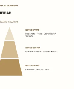 Piramida olfactivă Heibah Ard Al Zaafaran: note de vârf, inimă și bază
