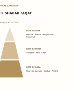 Piramida olfactivă Lil Shabab Faqat Ard Al Zaafaran: note de vârf, inimă și bază