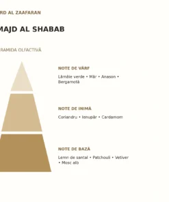 Piramida olfactivă Majd Al Shabab Ard Al Zaafaran: note de vârf, inimă și bază