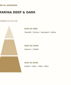 Piramida olfactivă Marina Deep & Dark Ard Al Zaafaran: note de vârf, inimă și bază