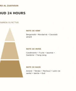 Piramida olfactivă Oud 24 Hours Ard Al Zaafaran: note de vârf, inimă și bază