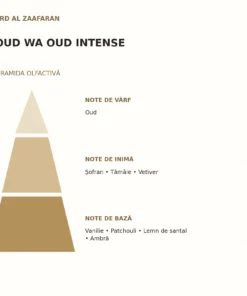Piramida olfactivă Oud Wa Oud Intense Ard Al Zaafaran: note de vârf, inimă și bază