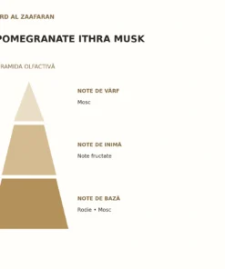 Piramida olfactivă Pomegranate Ithra Musk Ard Al Zaafaran: note de vârf, inimă și bază