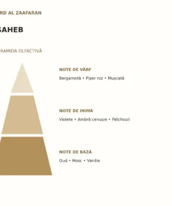 Piramida olfactivă Saheb Ard Al Zaafaran: note de vârf, inimă și bază