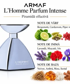 Armaf L’Homme Parfum Intense 100 ml – flacon și piramidă olfactivă