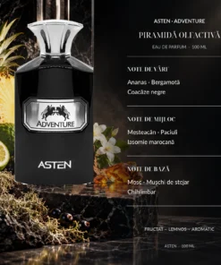 Piramida olfactivă Adventure Asten 100 ml: Ananas, Bergamotă, Iasomie marocană, Mesteacăn, Ambră, Mosc