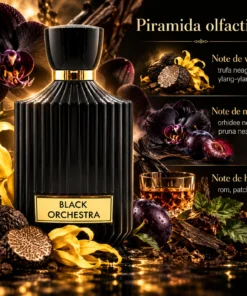 Piramida olfactivă Black Orchestra Asten 100 ml: Bergamotă, Coacăze negre, Condimente, Gardenie, Ambră, Ciocolată neagră