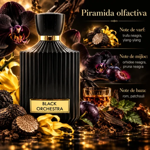 Piramida olfactivă Black Orchestra Asten 100 ml: Bergamotă, Coacăze negre, Condimente, Gardenie, Ambră, Ciocolată neagră