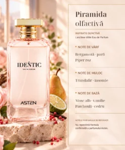 Piramida olfactivă Identic Asten 100 ml: Bergamotă, Apă de trandafiri, Iasomie, Cedru, Patchouli