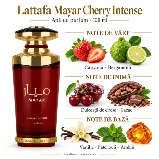 Lattafa Mayar Cherry Intense 100 ml și piramida olfactivă cu căpșună, bergamotă, dulceață de cireșe și cacao