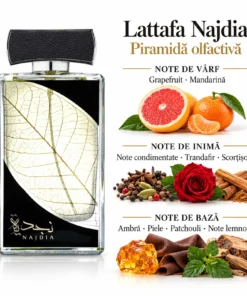 Flacon Lattafa Najdia 100 ml și piramida olfactivă: citrice, trandafir, scorțișoară, ambră, piele și note lemnoase