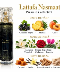 Flacon Lattafa Nasmaat 100 ml și piramida olfactivă cu fructe, flori, caramel, vanilie, santal și Cashmeran