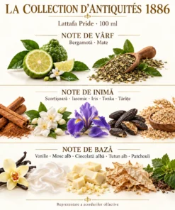Note Antiquités 1886: bergamotă, mate, scorțișoară, iasomie, iris, tonka, tărâțe, vanilie, mosc alb, ciocolată albă, tutun alb și patchouli