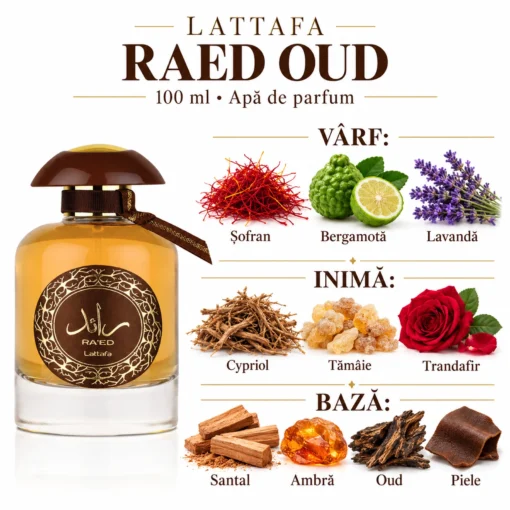 Piramida Raed Oud: șofran, bergamotă, lavandă, cypriol, tămâie, trandafir, santal, ambră, oud și piele