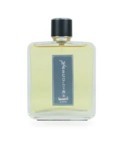Masculine Elixir By Patric – apă de parfum pentru bărbați, 100 ml