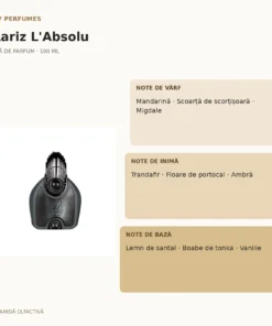My Perfumes Aariz L'Absolu 100 ml – piramidă olfactivă