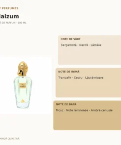 My Perfumes Haizum 100 ml – piramidă olfactivă