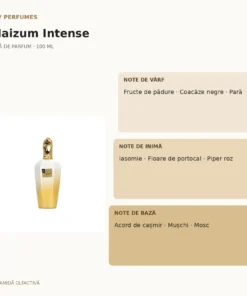 My Perfumes Haizum Intense 100 ml – piramidă olfactivă
