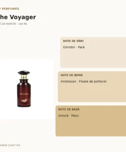My Perfumes The Voyager 100 ml – piramidă olfactivă