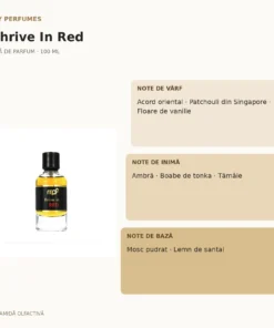 My Perfumes Thrive In Red 100 ml – piramidă olfactivă
