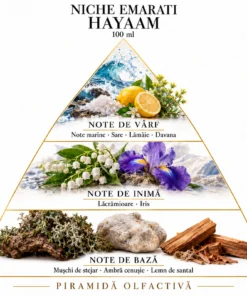 Piramida olfactivă Niche Emarati Hayaam: note marine, sare, lămâie și davana; lăcrămioare și iris; mușchi de stejar, ambră cenușie și santal