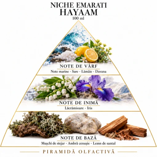 Piramida olfactivă Niche Emarati Hayaam: note marine, sare, lămâie și davana; lăcrămioare și iris; mușchi de stejar, ambră cenușie și santal