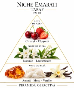 Piramida olfactivă Niche Emarati Taraf: cireașă, căpșună, iasomie, lăcrămioare, ambră, mosc și vanilie