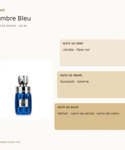 Rave Ambre Bleu 100 ml – piramidă olfactivă