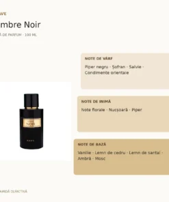 Rave Ambre Noir 100 ml – piramidă olfactivă