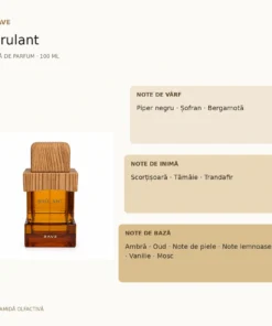 Rave Brulant 100 ml – piramidă olfactivă