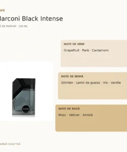 Rave Marconi Black Intense 100 ml – piramidă olfactivă