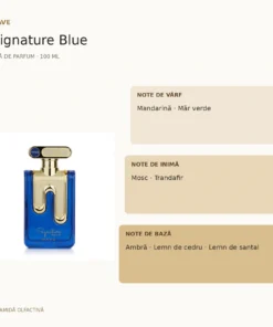 Rave Signature Blue 100 ml – piramidă olfactivă