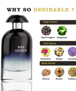 Riiffs Bleu Absolu 100 ml – flacon și piramidă olfactivă