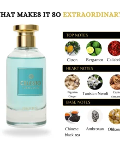 Riiffs Celesto Turquoise 100 ml – flacon și piramidă olfactivă