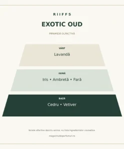 Piramida olfactivă Riiffs Exotic Oud: lavandă, iris, ambretă, pară, cedru și vetiver