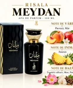Risala Meydan 100 ml – piramidă olfactivă